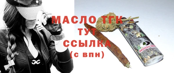 шишки Горняк