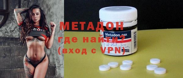 шишки Горняк