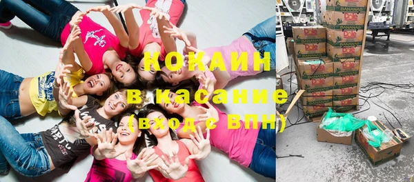 шишки Горняк