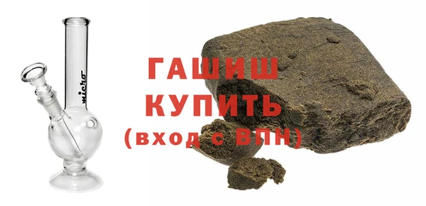 шишки Горняк