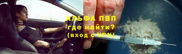 шишки Горняк