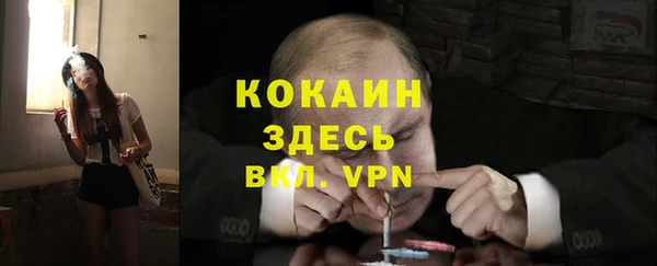 шишки Горняк