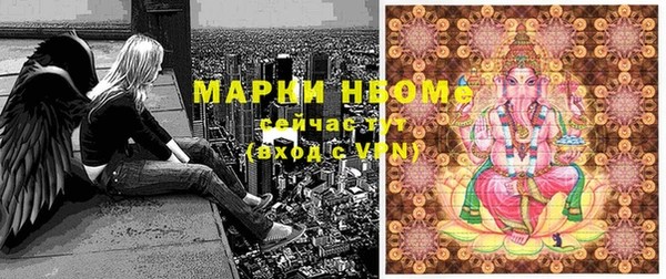 хмурый Фурманов