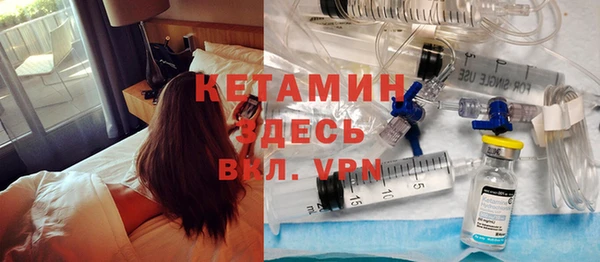 шишки Горняк