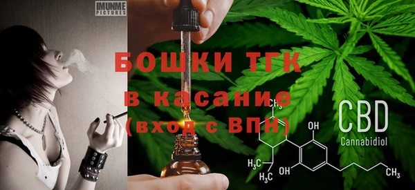 шишки Горняк