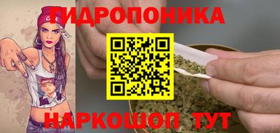 бошки Тверь