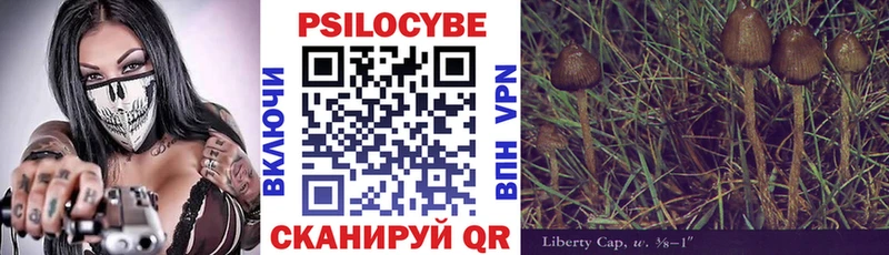 Галлюциногенные грибы Psilocybe  маркетплейс Telegram  Челябинск  купить наркотики сайты 