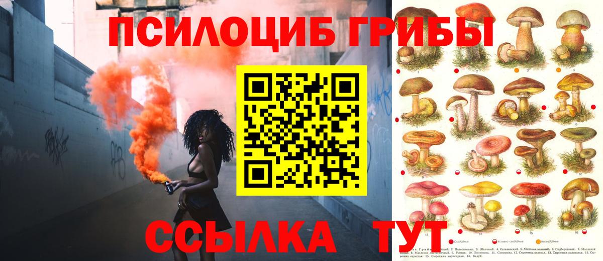 Челябинск  Галлюциногенные грибы Magic Shrooms  Псилоцибиновые грибы мухоморы  Вход с VPN 