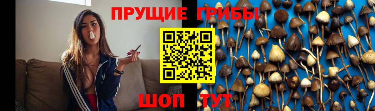 Галлюциногенные грибы мухоморы Челябинск